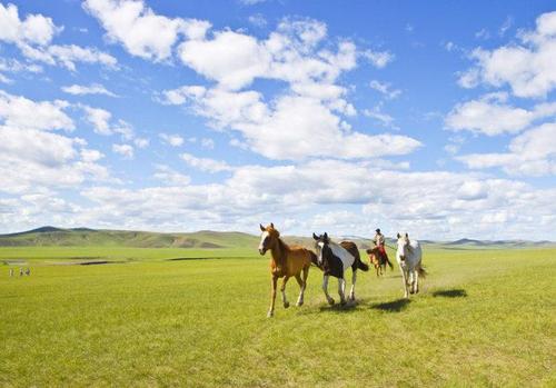 3、到内蒙古大草原