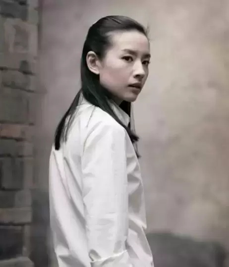 董洁的电影作品有哪些好看(盘点董洁最受好评的十部影视作品)