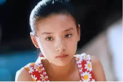 董洁的电影作品有哪些好看(盘点董洁最受好评的十部影视作品)