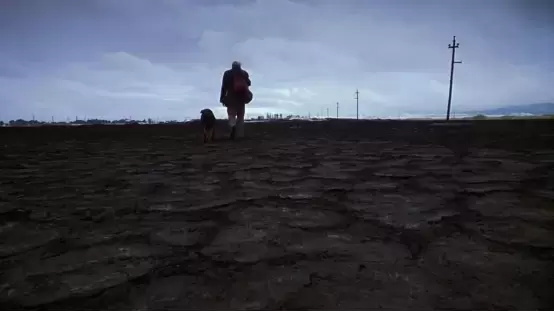 经典喜剧电影有哪些好看的(十部非同一般喜剧电影推荐)