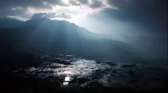 任达华高分的电影有哪些(0任达华最受好评的十部影片推荐)