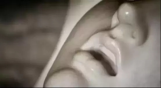 任达华高分的电影有哪些(0任达华最受好评的十部影片推荐)