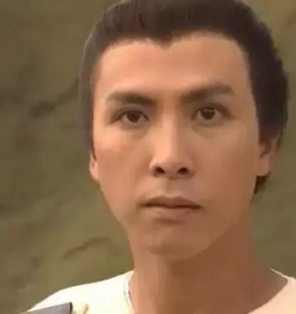 甄子丹有什么好看的电影推荐(盘点甄子丹十部经典影视作品)