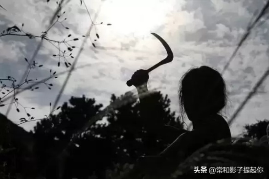 韩国经典暴力电影有哪些（10部韩国经典暴力电影推荐）