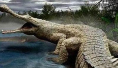 ​帝鳄vs恐鳄介绍，恐鳄可能比帝鳄略胜一筹