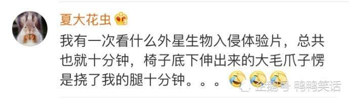 令人窒息的4D观影体验，笑到无法自拔