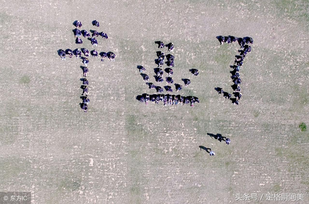 高校大学生经典毕业照10张图 拍过3种以上的算您有才了 