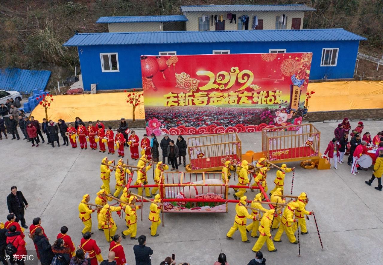 四川新猪王,9年长了1881斤,相当于11个成年人,24个人抬着吃力