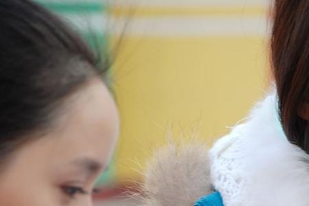 贤妻良母顺子结局