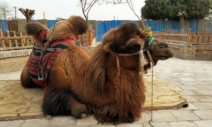 香妃墓——传说乾隆爱妃“香妃”就葬生于此