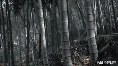 ​揭秘湘西赶尸人的运送尸体方式