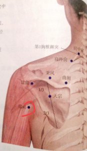 ​每日一穴-肩贞穴