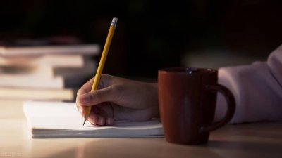 ​言不由衷，词不达意