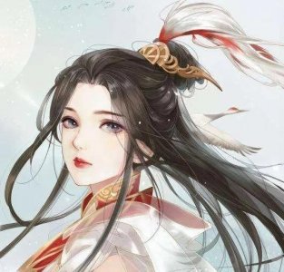 ​石头与水10本女强文推荐：千山我独行，不必相送