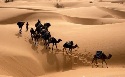 ​沙漠中遇到“玫瑰石”，为何要立马捡起？其真面目究竟是什么？