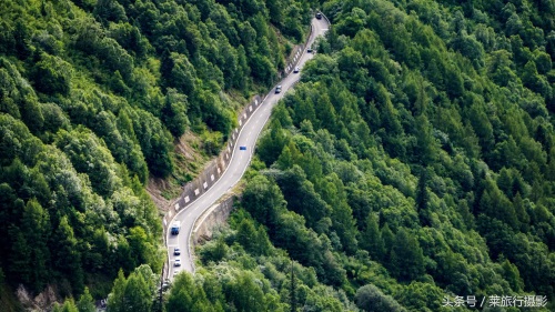 植物博物馆？西藏色季拉山景点介绍