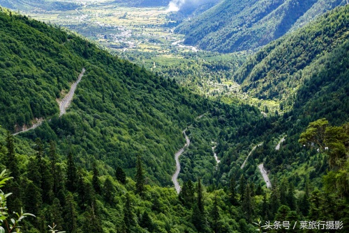 植物博物馆？西藏色季拉山景点介绍