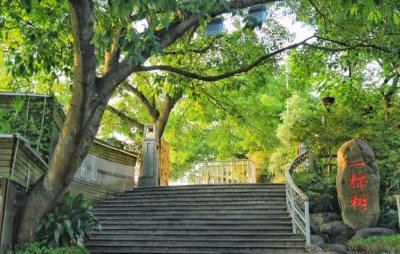 ​南山一棵树，重庆一个不可多得的观景平台！