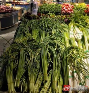 ​蒜苔大量上市，价格不断“跳水”