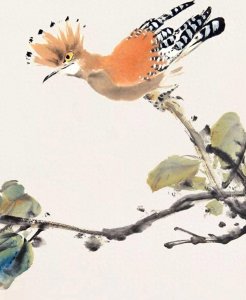 ​灵气四溢的国画小鸟，美得令人窒息！