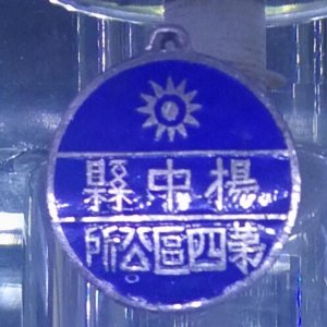 ​短暂的区划：逐渐消失的区公所