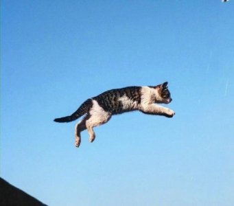 ​一句话噎死人的毒鸡汤，句句拉风帅气，笑抽了