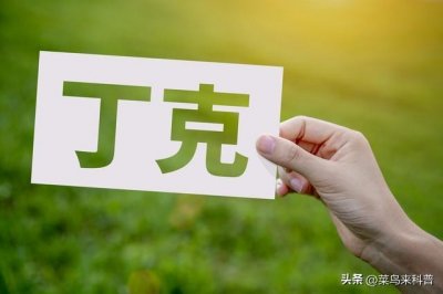 ​科普：丁克这一词语的由来！