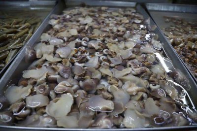 ​大家都在搜——中国海鲜批发网正式挂卖赋域网