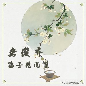 ​专辑：唐俊乔笛子精选集