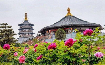 ​30个二线城市排名：沈阳领先无锡，石家庄远超潍坊，中山第25