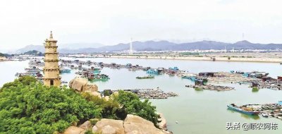 ​潮州名菜之潮州鱼饭