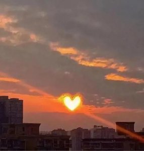 ​余光中与范我存 的爱情