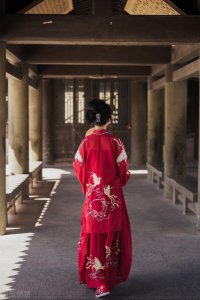 ​推文，重生+女扮男装