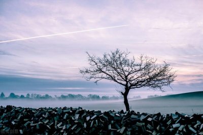 ​不要太过迁就别人，别人会变本加厉迁就你
