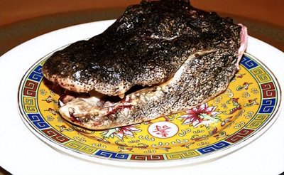 ​一斤土龙肉卖400，安徽有饭店直接端上整个头！竟说是合法食用？