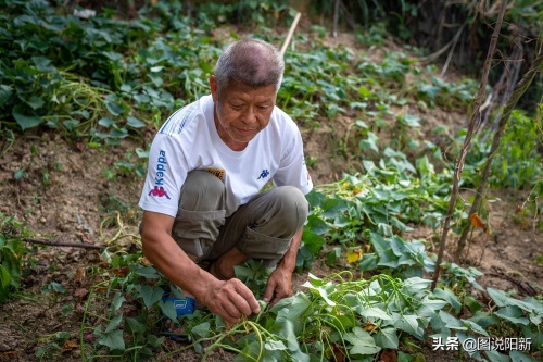 山村“魔咒”：兄弟俩出生3月后同患怪病，夫妻悔不该走到一起