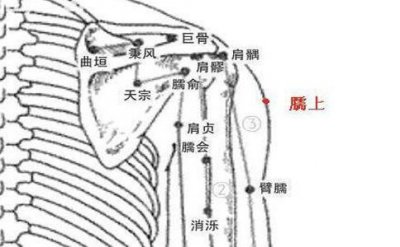 ​臑上穴位的准确位置图