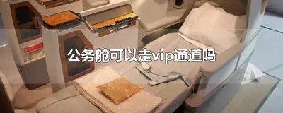 ​公务舱可以走vip通道吗