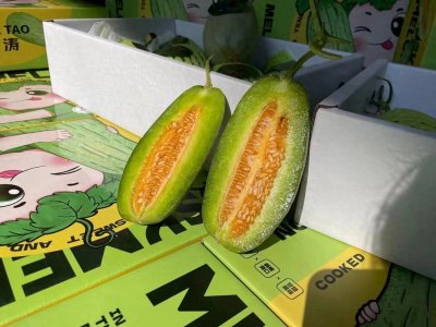 ​十大甜瓜品种大全