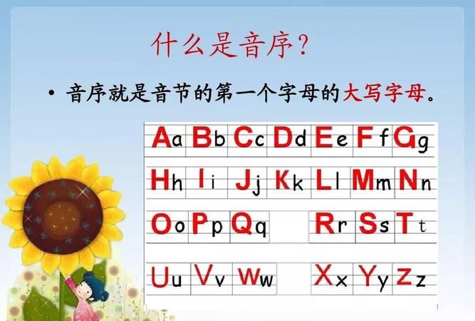 音序是什么音节是什么部首是什么