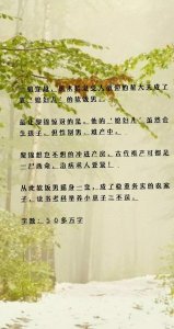 ​穿越时空的种田文，纯爱男主的古代科举日常