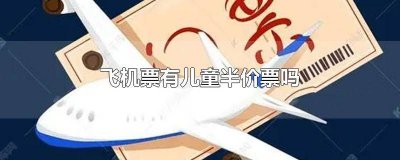 ​飞机票小孩是半价吗 飞机儿童票半价吗