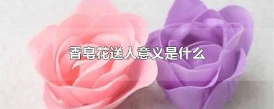 ​玫瑰香皂花送人会不会不好 送鲜花还是香皂花