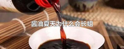 ​酱油生蛆吗 酱油制作过程有蛆