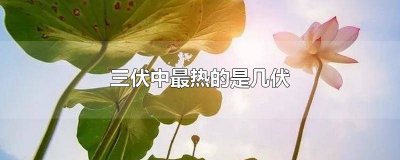 ​三伏最热的是哪一伏 三伏中哪伏最热