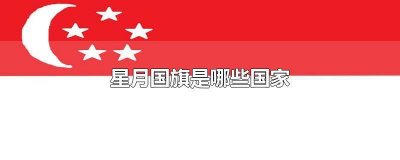 ​星月国旗是哪些国家 月星国旗是哪个国家