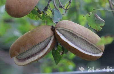 ​丹江口：八月炸“炸”出幸福路