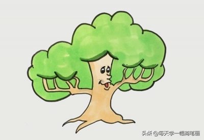​每天学一幅简笔画--可爱的卡通大树简笔画步骤图片