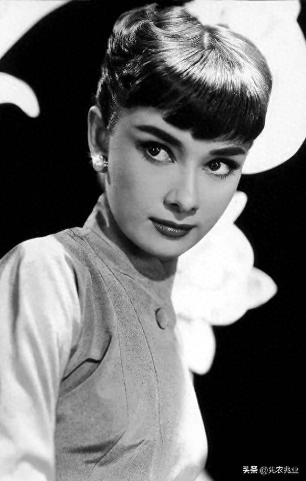 奥黛丽·赫本（百年来最伟大的女演员），最经典的20张照片