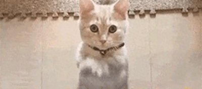 ​京剧第一美人李胜素：四个绯闻老公没一个是真的？如今怎么样了？